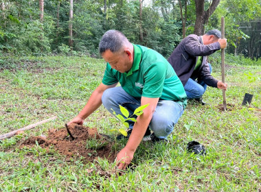 กิจกรรมวันต้นไม้ประจำปีของชาติ พ.ศ. 2568 พารามิเตอร์รูปภาพ 1
